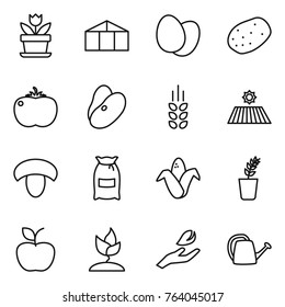 Thin line icon set : flower, greenhouse, eggs, potato, tomato, beans, spikelets, field, mushroom, flour, corn, seedling, apple, sprouting, hand leaf, watering can