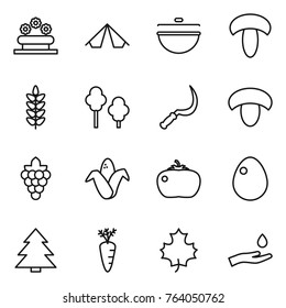 Thin line icon set : flower bed, tent, cauldron, mushroom, spikelets, trees, sickle, grape, corn, tomato, egg, spruce, carrot, maple leaf, hand and drop