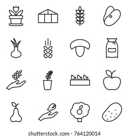 Thin line icon set : flower, greenhouse, spikelets, beans, onion, mushroom, flour, harvest, seedling, apple, pear, hand leaf, garden, potato
