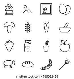 Thin line icon set : flower, landscape, in window, eggs, mushroom, spikelets, carrot, mortar, berry, flour, seedling, apple, sheep, bread, peas, rake