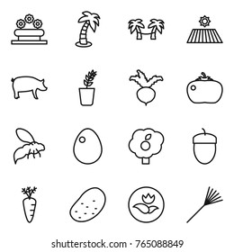 Thin line icon set : flower bed, palm, hammock, field, pig, seedling, beet, tomato, wasp, egg, garden, acorn, carrot, potato, ecology, rake