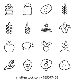 Thin line icon set : flower, flour, potato, spikelets, field, corn, apple, sheep, beet, sprouting, hand leaf, strawberry, garden, pile of garbage