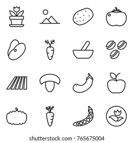Thin line icon set : flower, landscape, potato, tomato, beans, carrot, mortar, coffee seeds, field, mushroom, eggplant, apple, pumpkin, peas, ecology