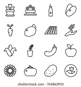Thin line icon set : flower, bed, vegetable oil, beans, carrot, lemon, field, harvest, corn, seedling, eggplant, apple, tomato, potato, ecology