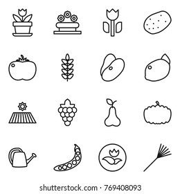 Thin line icon set : flower, bed, perishable, potato, tomato, spikelets, beans, lemon, field, grape, pear, pumpkin, watering can, peas, ecology, rake