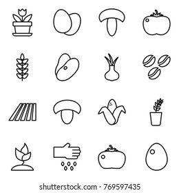 Thin line icon set : flower, eggs, mushroom, tomato, spikelets, beans, onion, coffee seeds, field, corn, seedling, sprouting, sow, egg