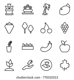 Thin line icon set : flower, bed, palm, lemon, berry, trees, cherry, grape, seedling, eggplant, apple, sprouting, hand leaf, ecology, maple