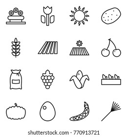 Thin line icon set : flower bed, perishable, gas oven, potato, spikelets, field, cherry, flour, grape, corn, seedling, pumpkin, egg, peas, rake