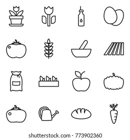 Thin line icon set : flower, perishable, vegetable oil, eggs, tomato, spikelets, mortar, field, flour, seedling, apple, pumpkin, watering can, bread, carrot