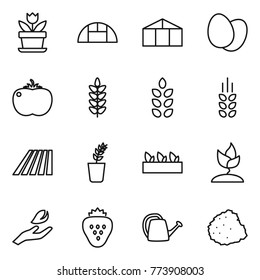 Thin line icon set : flower, greenhouse, eggs, tomato, spikelets, field, seedling, sprouting, hand leaf, strawberry, watering can, pile of garbage
