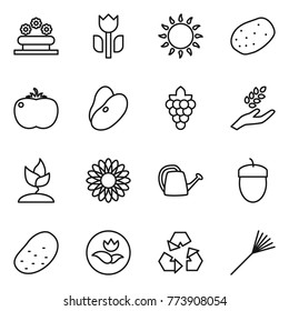 Thin line icon set : flower bed, perishable, gas oven, potato, tomato, beans, grape, harvest, sprouting, watering can, acorn, ecology, recycling, rake