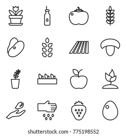 Thin line icon set : flower, vegetable oil, tomato, spikelets, beans, field, mushroom, seedling, apple, sprouting, hand leaf, sow, strawberry, egg