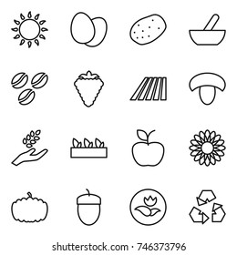 thin line icon set : gas oven, eggs, potato, mortar, coffee seeds, berry, field, mushroom, harvest, seedling, apple, flower, pumpkin, acorn, ecology, recycling