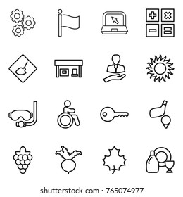 Thin line icon set : gear, flag, notebook, calculator, under construction, gas station, client, sun, diving mask, invalid, key, golf, grape, beet, maple leaf, dish cleanser
