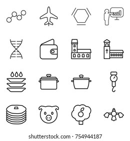 thin line icon set : graph, plane, hex molecule, presentation, dna, wallet, mansion, church, plate washing, pan, handle scales, pancakes, pig, garden, hard reach place cleaning