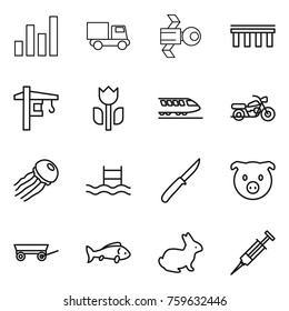 Thin line icon set : graph, truck, satellite, bridge, tower crane, perishable, train, motorcycle, jellyfish, pool, knife, pig, trailer, fish, rabbit, syringe