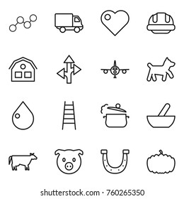 Thin line icon set : graph, delivery, heart, building helmet, house, route, plane, dog, drop, stairs, steam pan, mortar, cow, pig, horseshoe, pumpkin