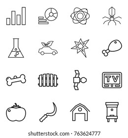 Thin line icon set : graph, diagram, atom, virus, flask, eco car, bang, chicken leg, bone, fence, satellite, tv, tomato, sickle, barn, hive