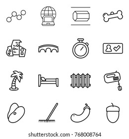 Thin line icon set : graph, notebook globe, nano tube, bone, modern architecture, bridge, stopwatch, check in, palm, bed, radiator, mixer, beans, rake, eggplant, acorn