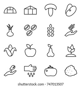 thin line icon set : greenhouse, mushroom, beans, onion, coffee seeds, spikelets, harvest, corn, apple, pear, sprouting, hand leaf, sow, tomato, pile of garbage