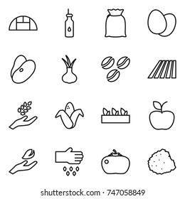 thin line icon set : greenhouse, vegetable oil, flour, eggs, beans, onion, coffee seeds, field, harvest, corn, seedling, apple, hand leaf, sow, tomato, pile of garbage