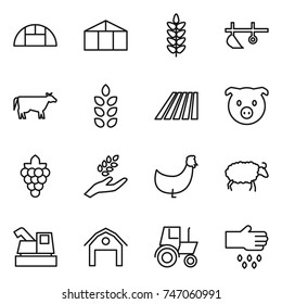 thin line icon set : greenhouse, spikelets, plow, cow, field, pig, grape, harvest, chicken, sheep, harvester, barn, tractor, sow