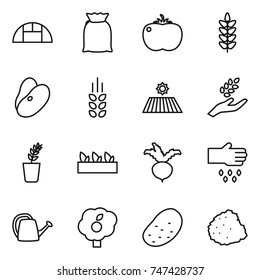 thin line icon set : greenhouse, flour, tomato, spikelets, beans, field, harvest, seedling, beet, sow, watering can, garden, potato, pile of garbage