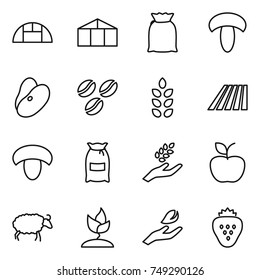 thin line icon set : greenhouse, flour, mushroom, beans, coffee seeds, spikelets, field, harvest, apple, sheep, sprouting, hand leaf, strawberry