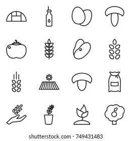 thin line icon set : greenhouse, vegetable oil, eggs, mushroom, tomato, spikelets, beans, field, flour, harvest, seedling, sprouting, garden
