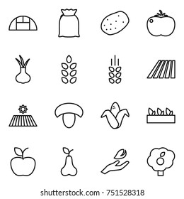 thin line icon set : greenhouse, flour, potato, tomato, onion, spikelets, field, mushroom, corn, seedling, apple, pear, hand leaf, garden