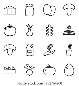 thin line icon set : greenhouse, flour, eggs, mushroom, tomato, onion, spikelets, field, harvest, seedling, beet, egg