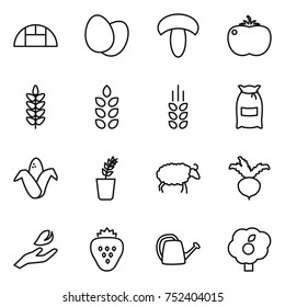 thin line icon set : greenhouse, eggs, mushroom, tomato, spikelets, flour, corn, seedling, sheep, beet, hand leaf, strawberry, watering can, garden