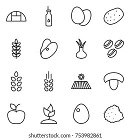 thin line icon set : greenhouse, vegetable oil, eggs, potato, spikelets, beans, onion, coffee seeds, field, mushroom, apple, sprouting, egg, pile of garbage