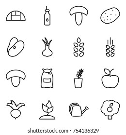 thin line icon set : greenhouse, vegetable oil, mushroom, potato, beans, onion, spikelets, flour, seedling, apple, beet, sprouting, watering can, garden