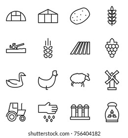Thin line icon set : greenhouse, potato, spikelets, soil cutter, field, grape, goose, chicken, sheep, windmill, tractor, sow, grain elevator, fertilizer