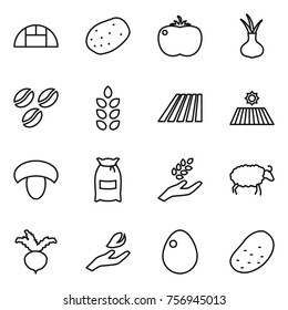 Thin line icon set : greenhouse, potato, tomato, onion, coffee seeds, spikelets, field, mushroom, flour, harvest, sheep, beet, hand leaf, egg