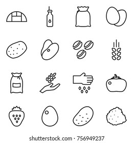 Thin line icon set : greenhouse, vegetable oil, flour, eggs, potato, beans, coffee seeds, spikelets, harvest, sow, tomato, strawberry, egg, pile of garbage