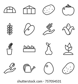 Thin line icon set : greenhouse, potato, tomato, spikelets, beans, harvest, corn, seedling, pear, sprouting, hand leaf, watering can, egg