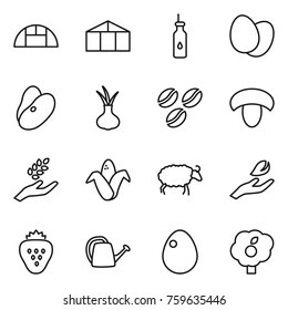 Thin line icon set : greenhouse, vegetable oil, eggs, beans, onion, coffee seeds, mushroom, harvest, corn, sheep, hand leaf, strawberry, watering can, egg, garden