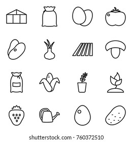 Thin line icon set : greenhouse, flour, eggs, tomato, beans, onion, field, mushroom, corn, seedling, sprouting, strawberry, watering can, egg, potato