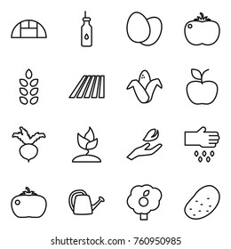 Thin line icon set : greenhouse, vegetable oil, eggs, tomato, spikelets, field, corn, apple, beet, sprouting, hand leaf, sow, watering can, garden, potato