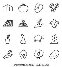 Thin line icon set : greenhouse, tomato, beans, coffee seeds, field, harvest, corn, seedling, pear, sheep, sprouting, hand leaf, strawberry, garden, potato