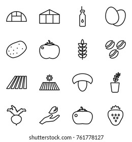 Thin line icon set : greenhouse, vegetable oil, eggs, potato, tomato, spikelets, coffee seeds, field, mushroom, seedling, beet, hand leaf, strawberry