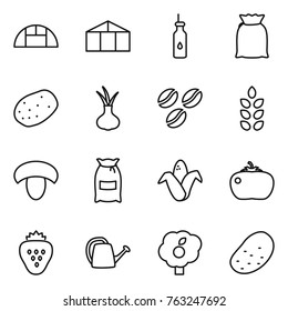 Thin line icon set : greenhouse, vegetable oil, flour, potato, onion, coffee seeds, spikelets, mushroom, corn, tomato, strawberry, watering can, garden