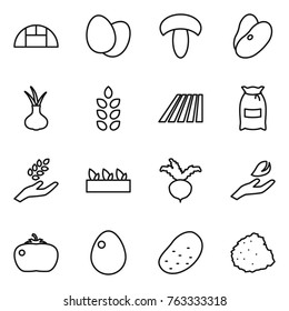 Thin line icon set : greenhouse, eggs, mushroom, beans, onion, spikelets, field, flour, harvest, seedling, beet, hand leaf, tomato, egg, potato, pile of garbage