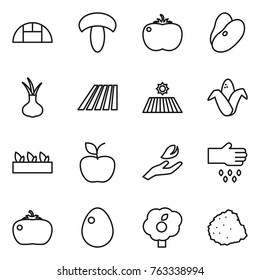 Thin line icon set : greenhouse, mushroom, tomato, beans, onion, field, corn, seedling, apple, hand leaf, sow, egg, garden, pile of garbage