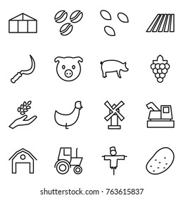 Thin line icon set : greenhouse, coffee seeds, field, sickle, pig, grape, harvest, chicken, windmill, harvester, barn, tractor, scarecrow, potato