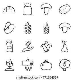 Thin line icon set : greenhouse, flour, mushroom, potato, beans, spikelets, harvest, corn, pear, sprouting, sow, tomato, garden