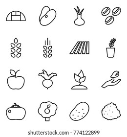 Thin line icon set : greenhouse, beans, onion, coffee seeds, spikelets, field, seedling, apple, beet, sprouting, hand leaf, tomato, garden, potato, pile of garbage