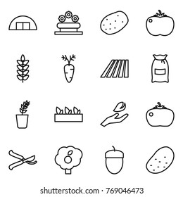 Thin line icon set : hangare, flower bed, potato, tomato, spikelets, carrot, field, flour, seedling, hand leaf, pruner, garden, acorn